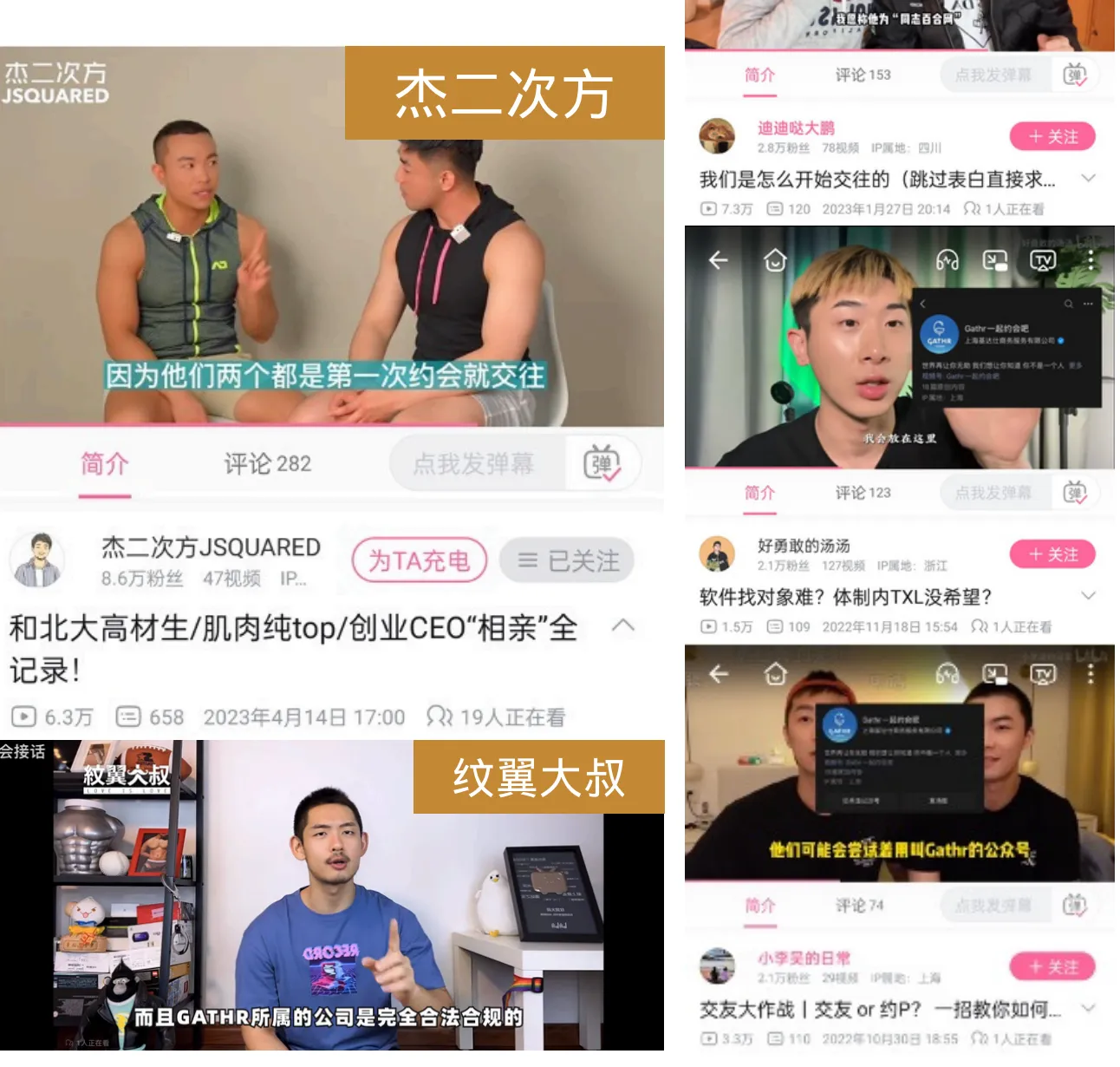 圈内 UP 主合作推广与真实相亲记录
